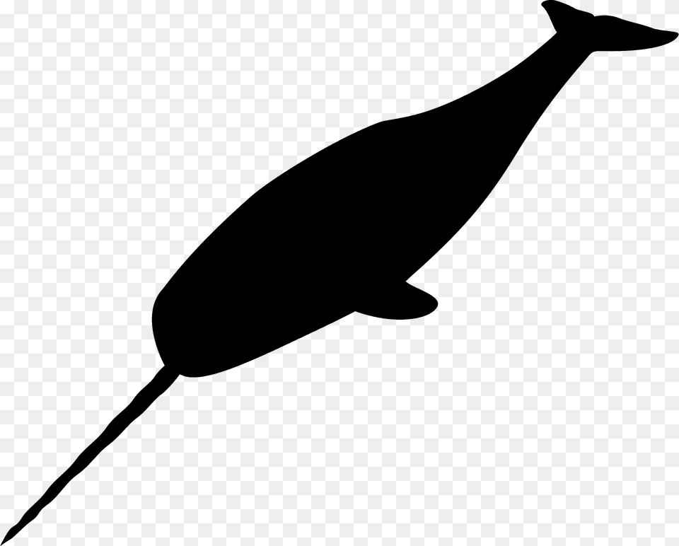 Narwhal Silhouette, Animal, Mammal, Sea Life, Whale Free Transparent Png