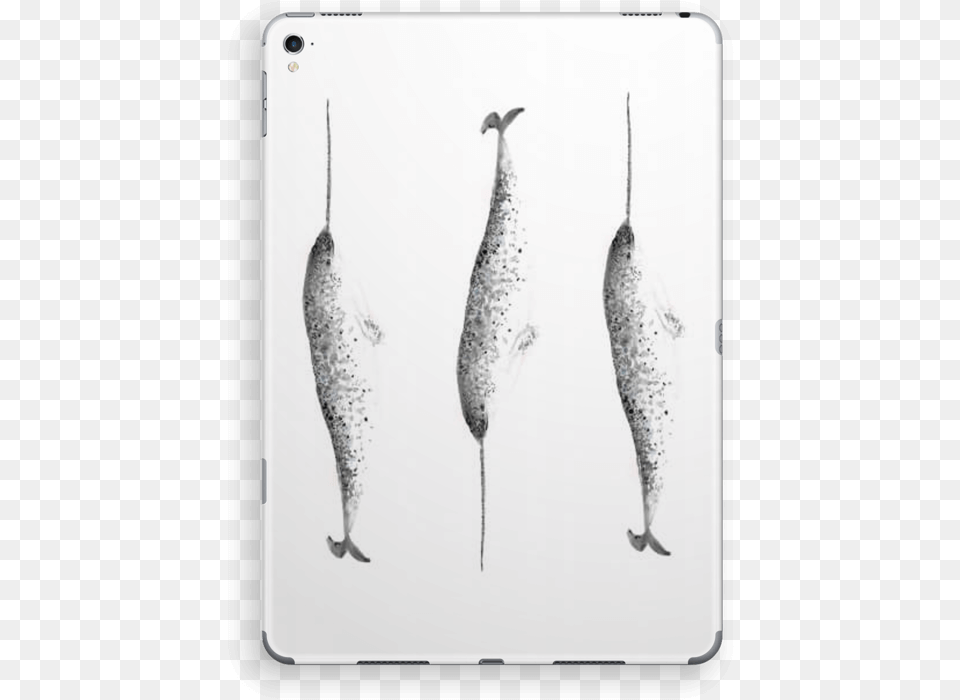 Narwhale Skin Ipad Pro Monochrome, Animal, Sea Life, Whale, Mammal Free Png