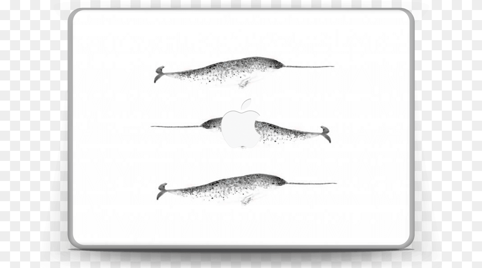 Narwhale Skin Macbook Pro 13 Long Nose Gar, Animal, Mammal, Sea Life, Whale Free Transparent Png