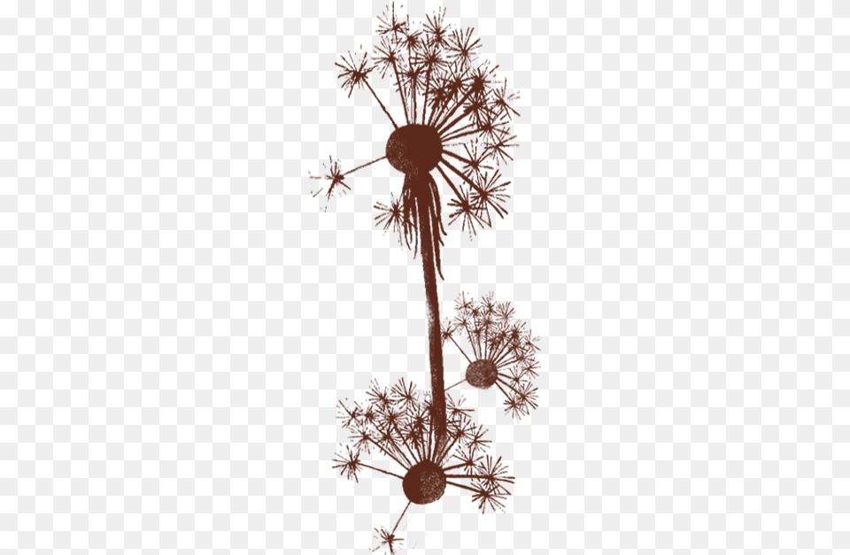 Nasa Mala Zavrzlama Globe Thistle, Flower, Plant, Art, Person Free Transparent Png