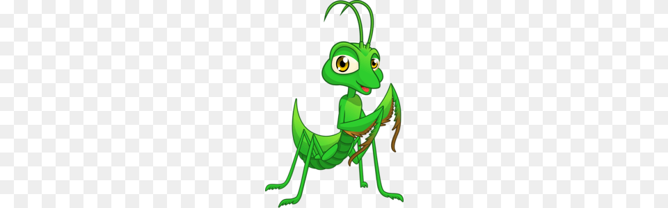 Nasekomyshi In Clip Art, Animal, Grasshopper, Insect, Invertebrate Free Png Download