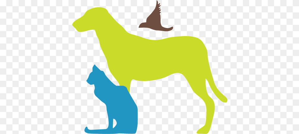 Nashville Dog Walkers Pet Sitters Animal Figure, Adult, Female, Person, Woman Free Png Download