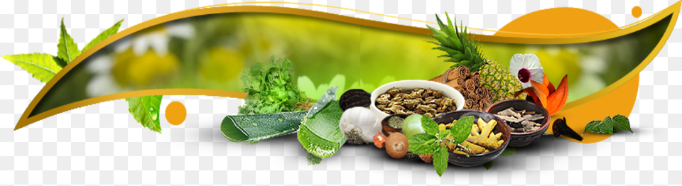 Naspex Natural Herbal Color Ayurvedic Visiting Card Design, Plant, Herbs, Leaf, Food Png Image