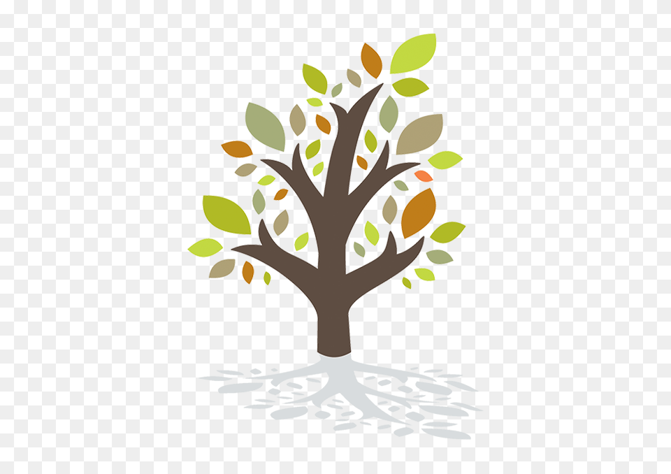 Nassau County Council On Aging Florida, Leaf, Plant, Tree, Art Free Transparent Png