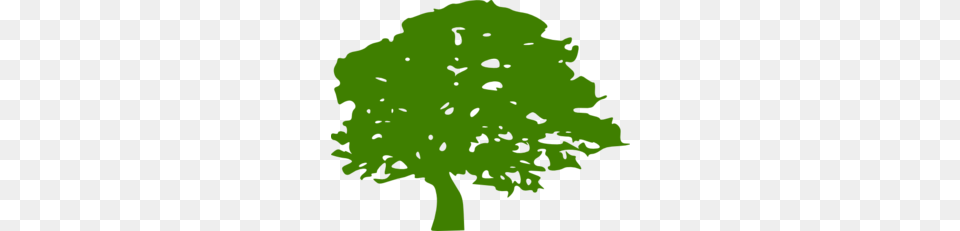 Nat S Green Tree Clip Art, Leaf, Plant, Oak, Sycamore Free Png Download