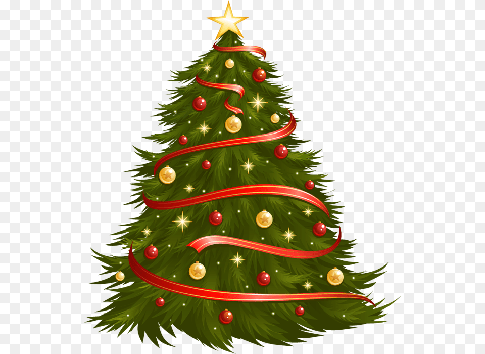 Natal, Plant, Tree, Christmas, Christmas Decorations Free Png Download