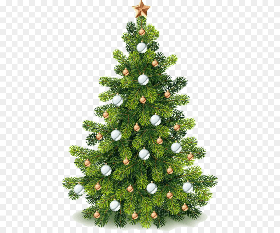 Natal Background Feliz Natal Enfeite Clipart Christmas Tree, Plant, Christmas Decorations, Festival, Pine Png