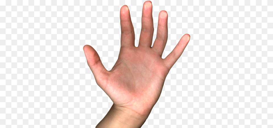 Nathalie Di Sciascio Hand Gif Transparent Background, Body Part, Finger, Person, Baby Png Image