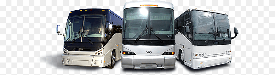 Nation Bus Charter Tours And Travels Logo Bus Car, Transportation, Vehicle, Person Free Png Download