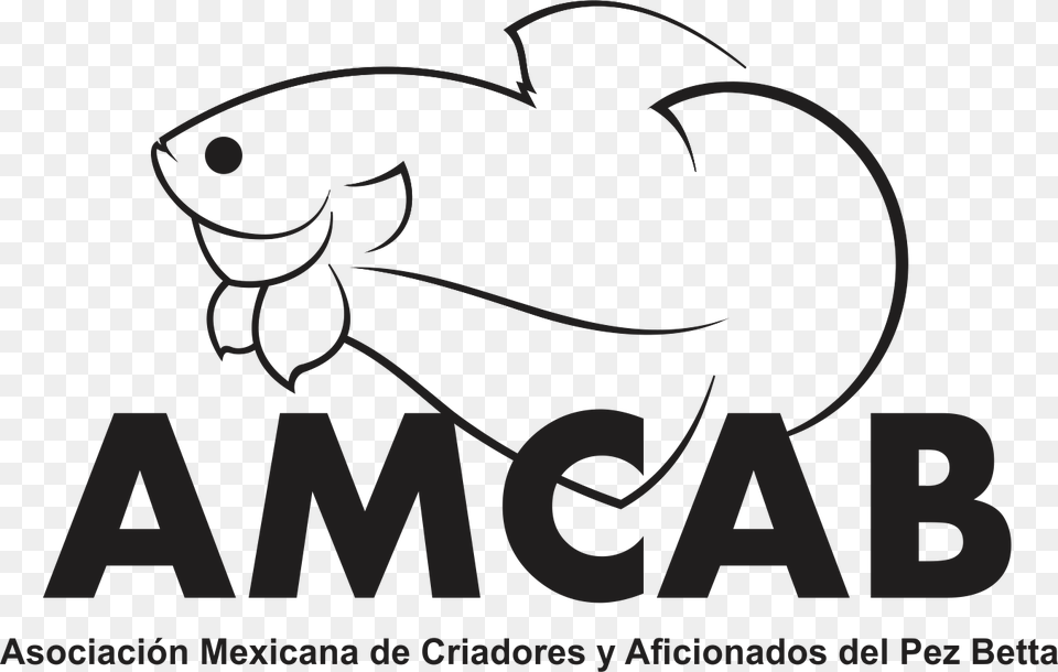 National Amcab Ibc Contest Mexico All Saints College, Animal, Bear, Mammal, Wildlife Png Image