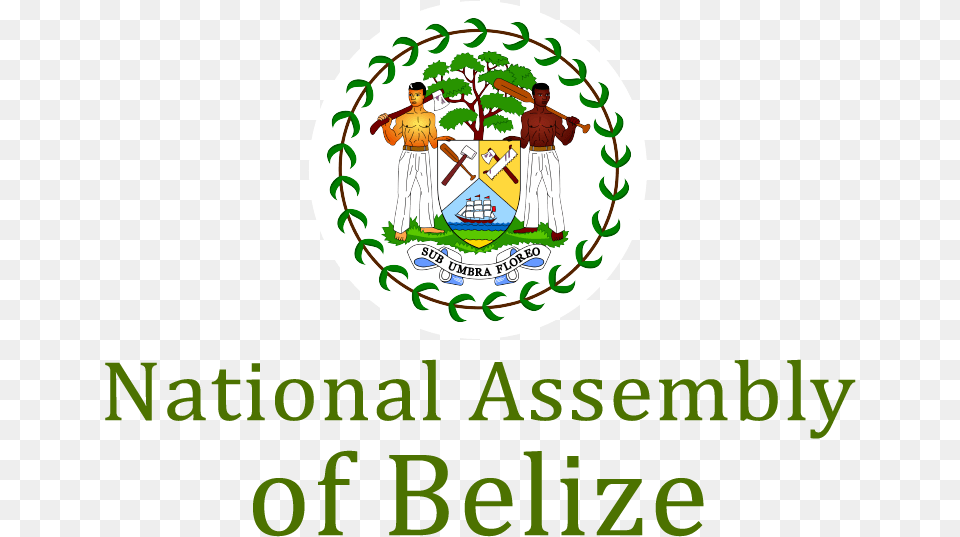 National Assembly National Assembly Of Belize, Boy, Child, Male, Person Png Image
