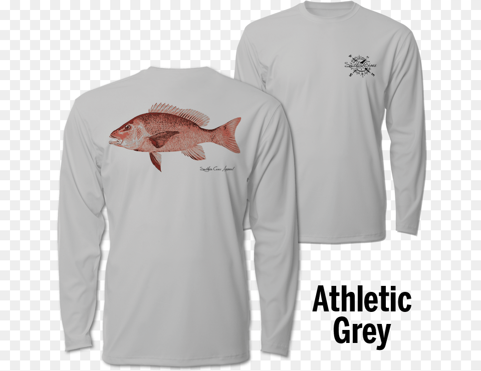 National Association Of Intercollegiate Athletics, T-shirt, Animal, Clothing, Fish Free Png Download
