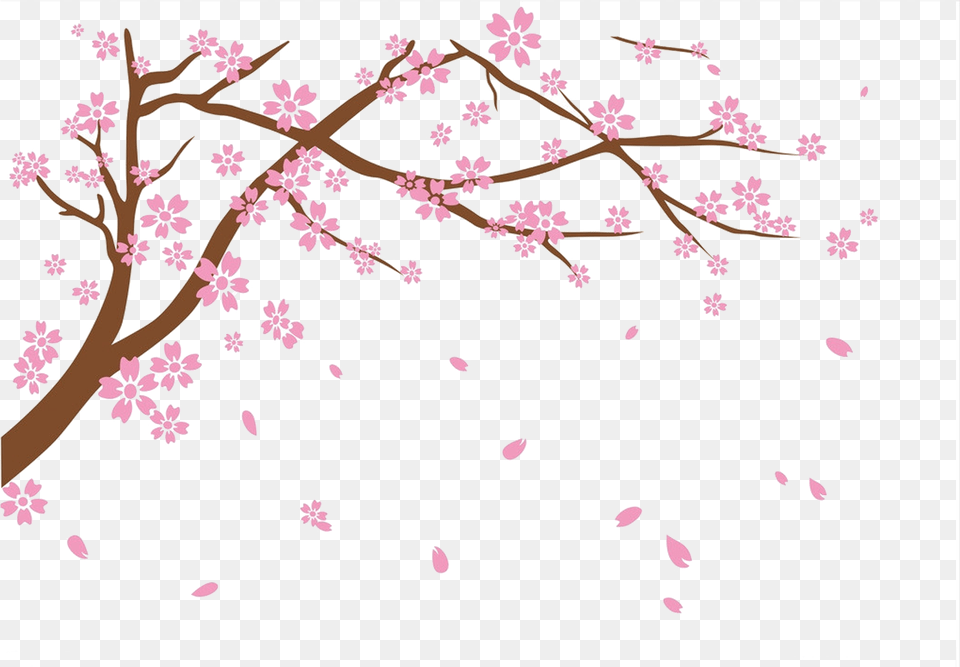 National Blossom Festival Falling Cherry Blossoms, Flower, Petal, Plant, Cherry Blossom Free Png