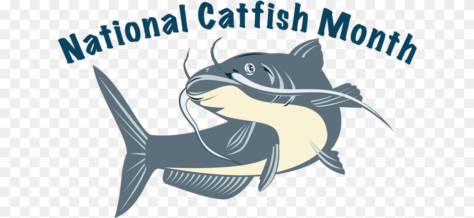National Catfish Month Catfish, Animal, Sea Life, Fish, Shark Free Png Download