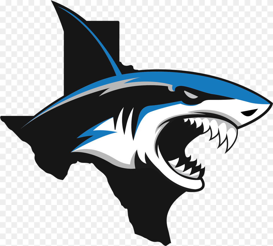 National Championship Sports Baseball Tx Sharks 11u D2 Texas, Animal, Fish, Sea Life, Shark Png Image