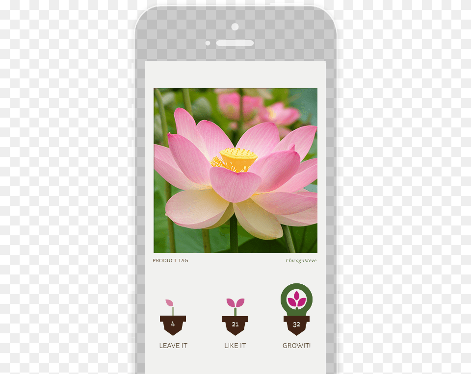 National Flower Of India, Plant, Electronics, Mobile Phone, Phone Free Png