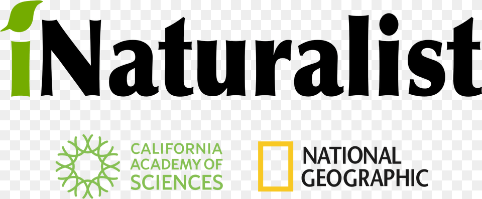 National Geographic Logo, Plant, Vegetation, Outdoors, Nature Free Transparent Png