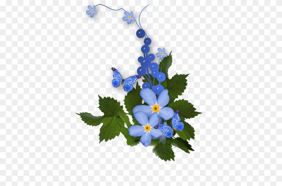 National Grandparents Day Gif Portable Network Graphics Vergiss Mein Nicht Blumen, Anemone, Flower, Geranium, Plant Png Image