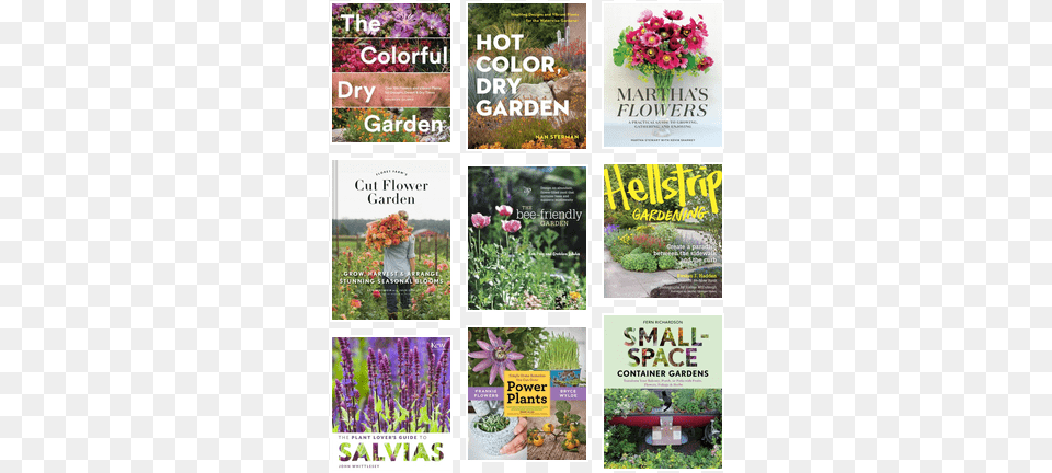 National Plant A Flower Day Is March 12 Small Space Container Gardens By Fern Richardson, Herbs, Garden, Outdoors, Herbal Free Transparent Png
