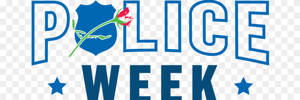 National Police Week May, Flower, Plant, Rose, Leaf Png Image