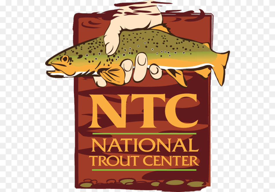 National Trout Center, Advertisement, Animal, Fish, Sea Life Free Png