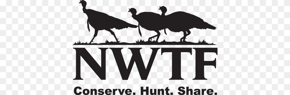 National Wild Turkey Federation Logo National Wild Turkey Federation, Animal, Bird, Kangaroo, Mammal Free Png