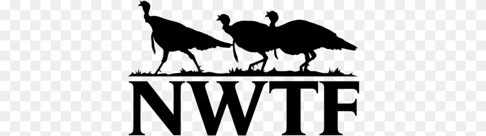 National Wild Turkey Federation Nwtf Logo, Silhouette, Person, Animal, Poultry Free Png