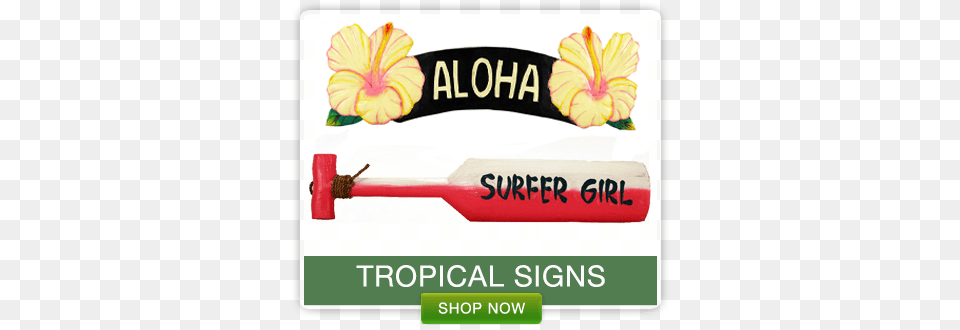 Nationwide Shipping On Tropical Decor Hawaiian Language, Flower, Plant, Hibiscus, Smoke Pipe Free Png