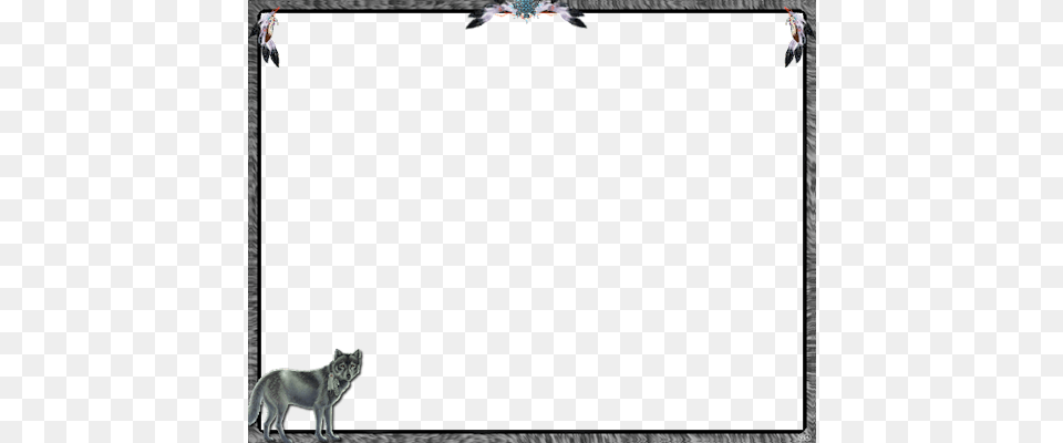 Native Wolf Wolf Frame, Animal, Coyote, Mammal, Lion Free Png