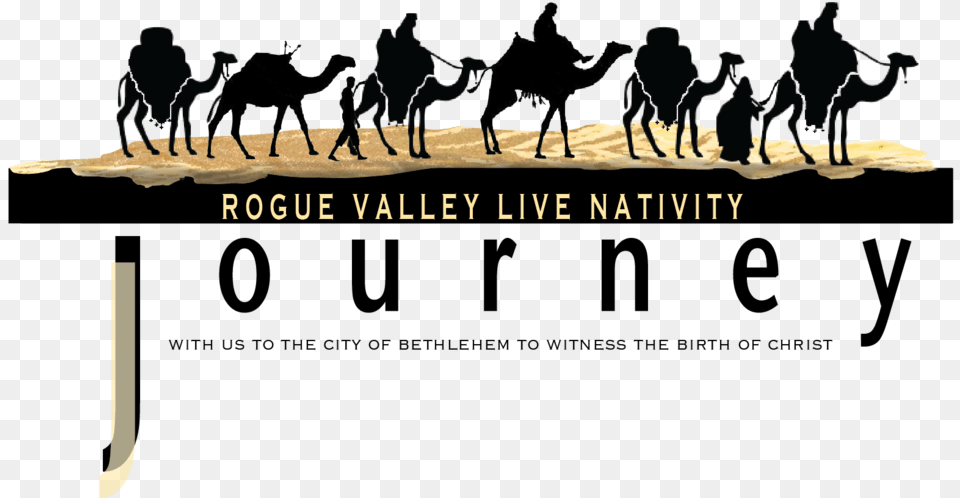 Nativity Logo Arabian Camel, Person, Outdoors, Head, Animal Free Png Download