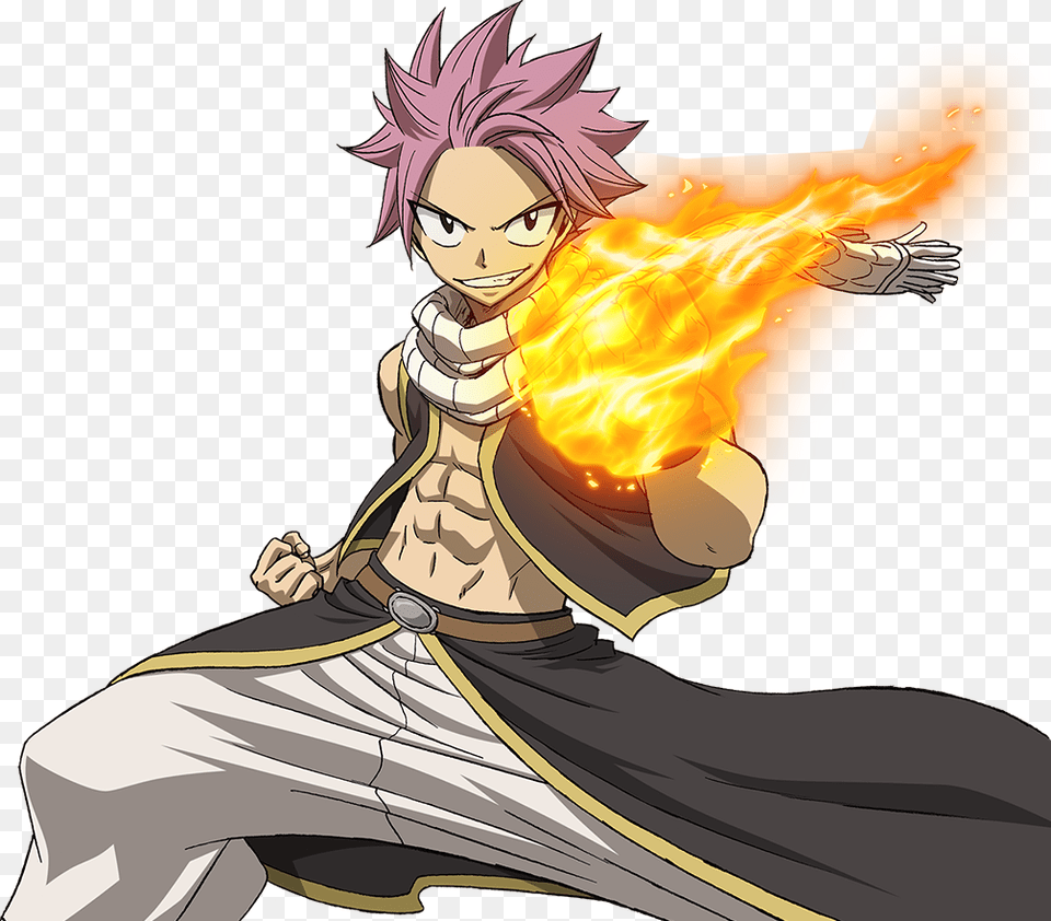 Natsu Fairy Tail 2014 Download Natsu Fairy Tail Season, Publication, Book, Comics, Adult Png Image