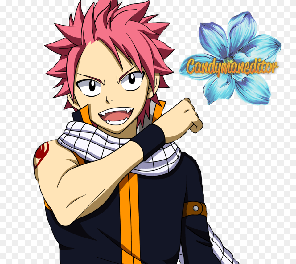 Natsu Taking A Picture, Book, Comics, Publication, Person Free Png