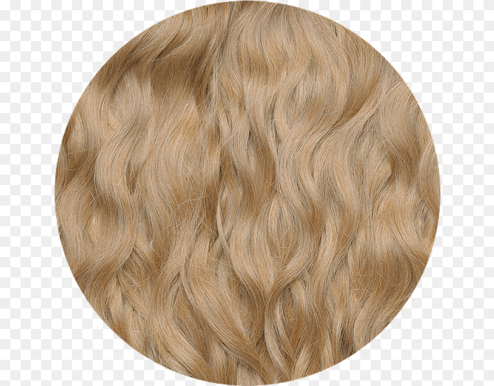 Natural Blond Wavy Hair 22 23 In 5560 Cm G Blond, Wood, Photography, Person, Home Decor Free Transparent Png