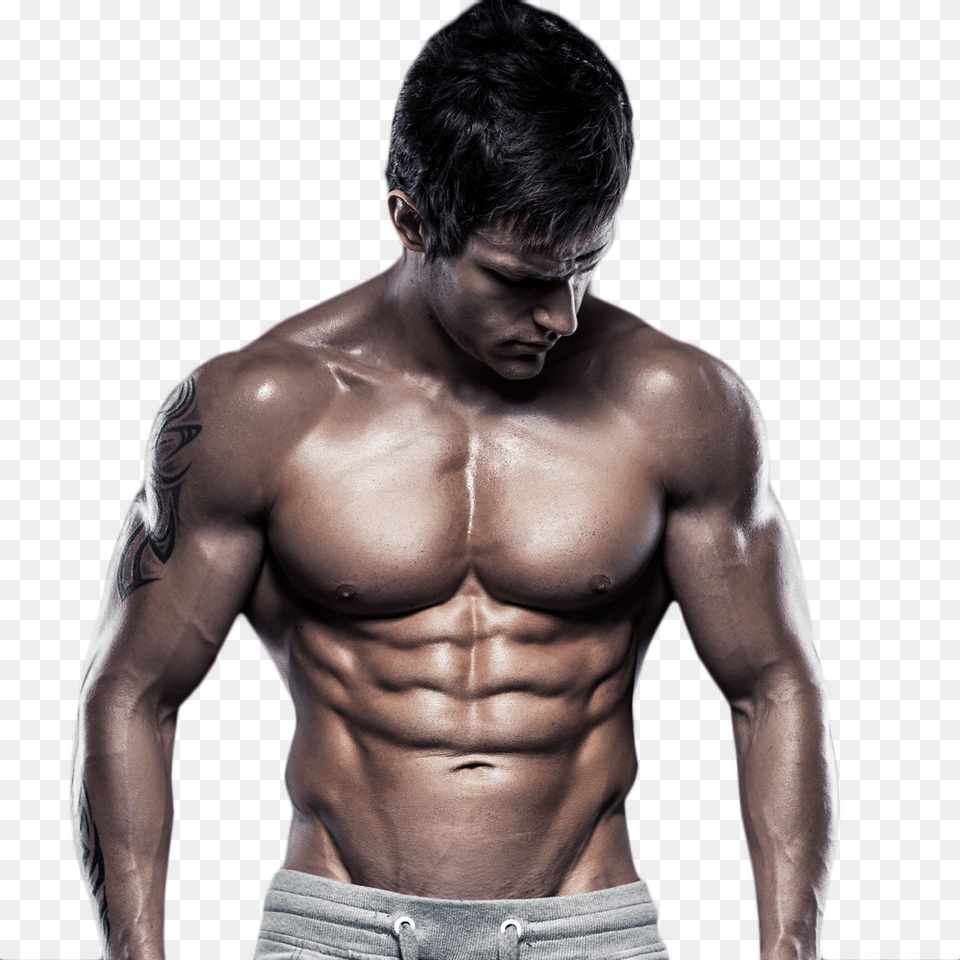 Natural Bodybuilding Maximum Potential, Back, Body Part, Person, Adult Png