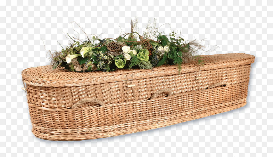 Natural Burial Caskets, Vase, Pottery, Potted Plant, Planter Png Image