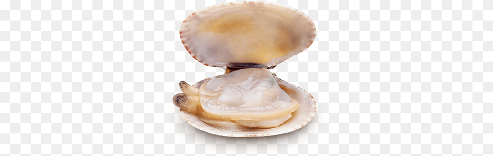 Natural Clam Almejas Naturales, Animal, Food, Invertebrate, Sea Life Png Image