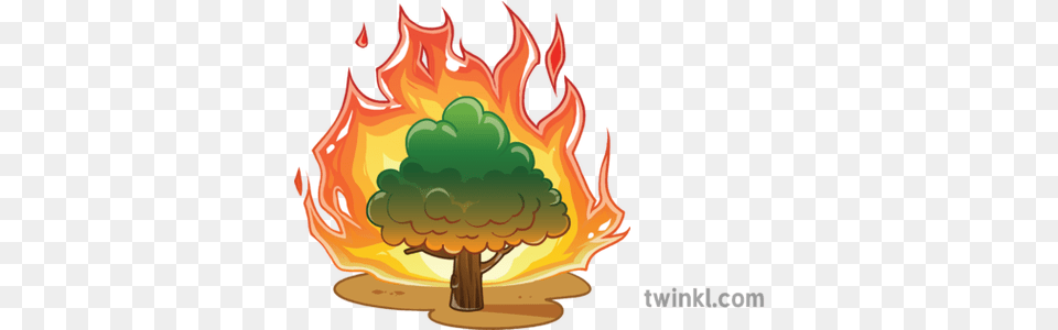 Natural Disasters Emoji Fire Newsroom Dessert, Flame, Birthday Cake, Cake, Cream Png Image