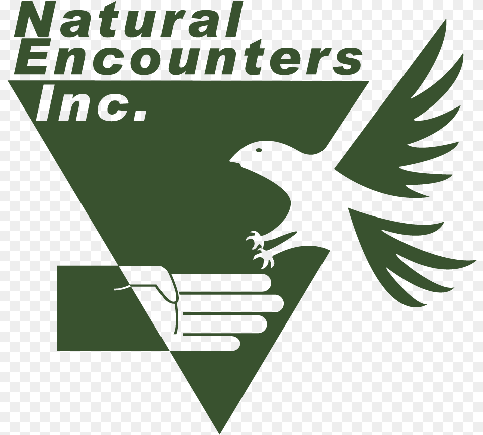 Natural Encounters Inc, Symbol, Logo, Face, Head Free Transparent Png