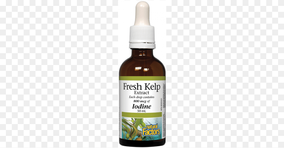 Natural Factors Liquid Kelp 800 Mcg 16 Fl Oz, Herbal, Herbs, Plant, Bottle Free Transparent Png