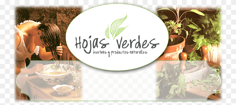 Natural Foods, Plant, Herbs, Herbal, Child Png Image