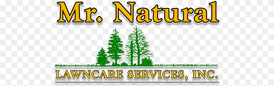 Natural Lawn Care Logo Colorado Spruce, Plant, Tree, Vegetation Free Transparent Png