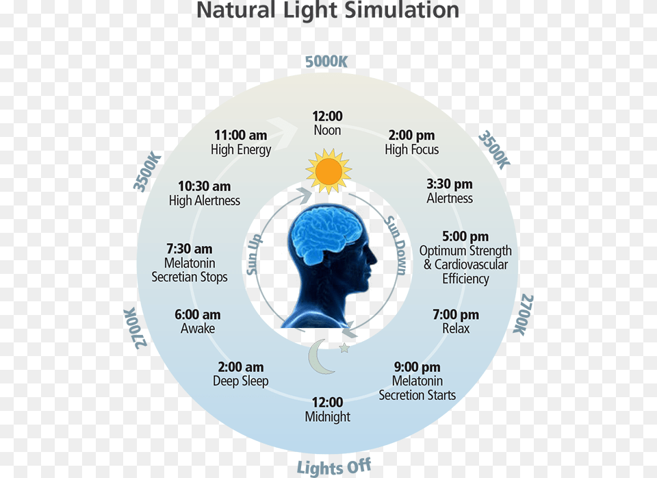 Natural Light Simulation Chart Natural Light, Ct Scan, Plot, Baby, Person Png