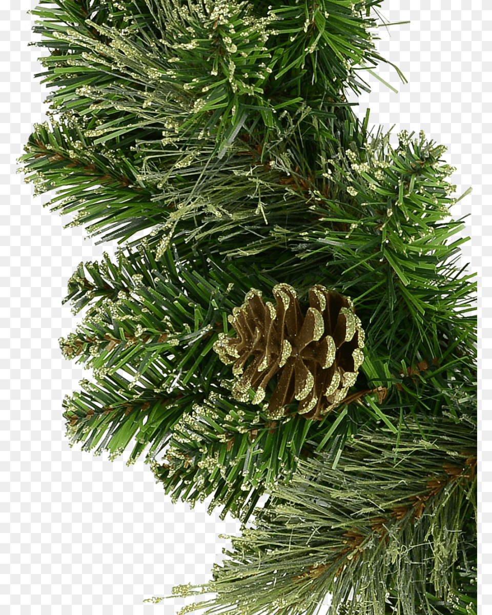 Natural Look Pine Wreath With Pine Cones Amp Lightly Pine, Conifer, Fir, Plant, Tree Free Png Download