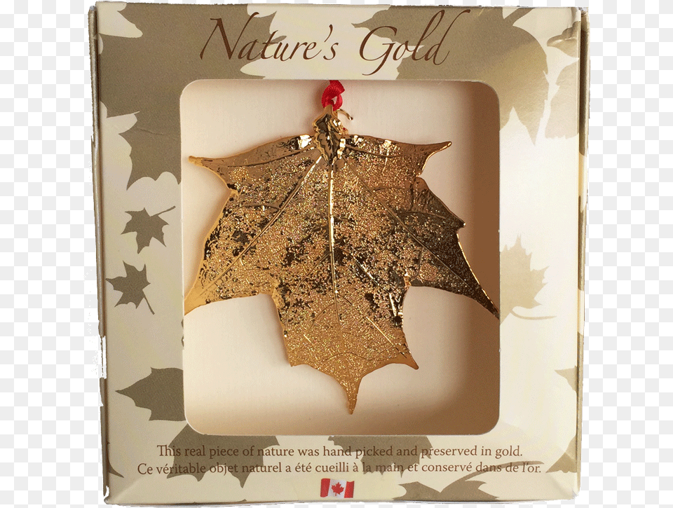 Natural Maple Leaf In Canada, Plant, Tree, Accessories, Maple Leaf Free Transparent Png