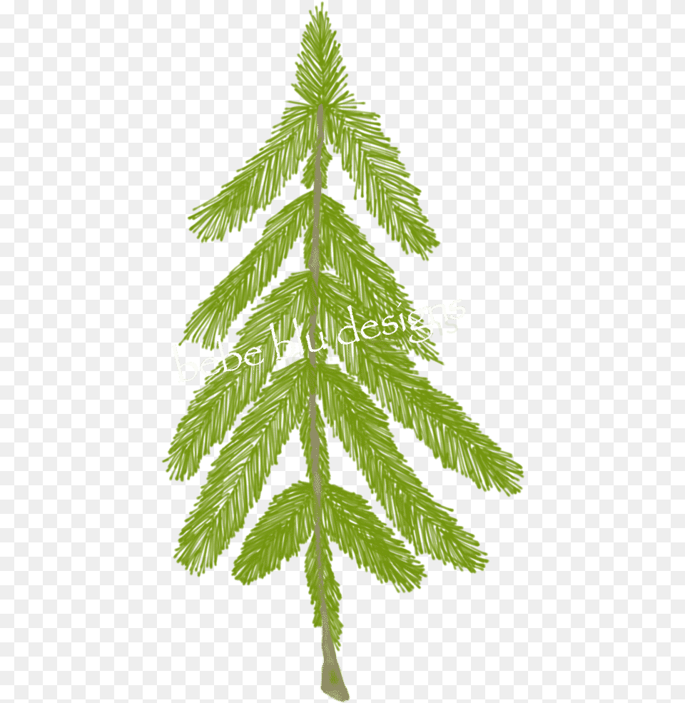 Natural Pine Tree Better Christmas Tree, Leaf, Plant, Green, Fir Png