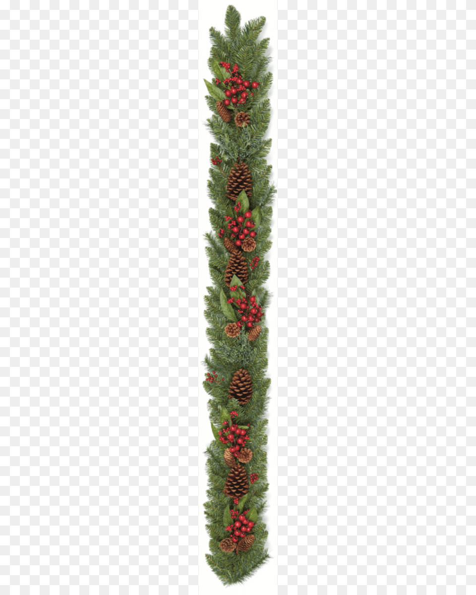 Natural Red Berry Christmas Garland With Pine Cones, Plant, Tree, Conifer, Christmas Decorations Free Transparent Png