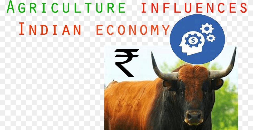 Natural Resources Bull, Animal, Mammal, Cattle, Cow Free Png