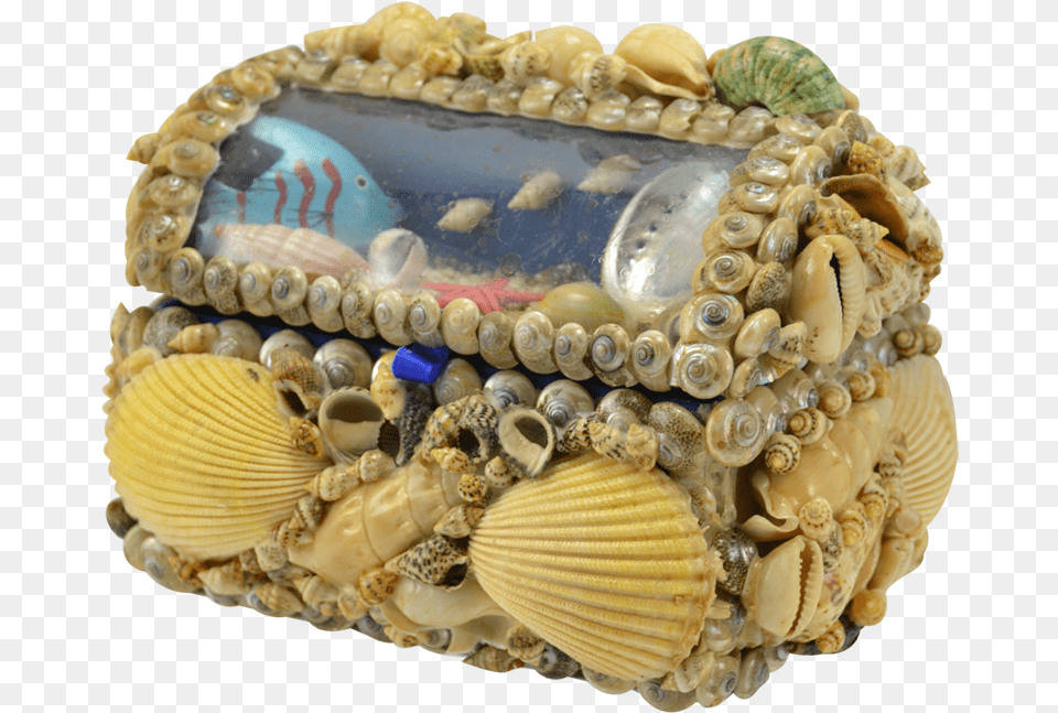 Natural Seashell Treasure Box Cake Decorating, Animal, Clam, Food, Invertebrate Free Png Download