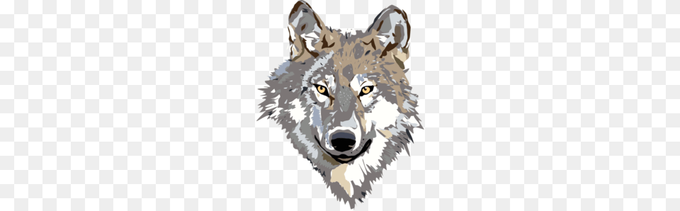 Natural Selection Simulation, Animal, Mammal, Wolf, Canine Png Image