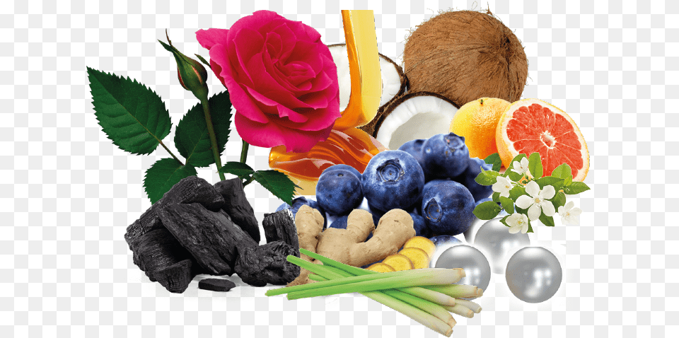 Natural Skincare Ingredients Natural Skin Care Ingredients, Food, Produce, Plant, Fruit Png Image